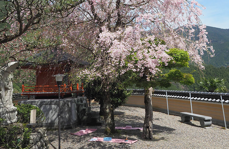 かわかみ源流ツーリズム » 高野山真言宗 準別格本山 寳壽院